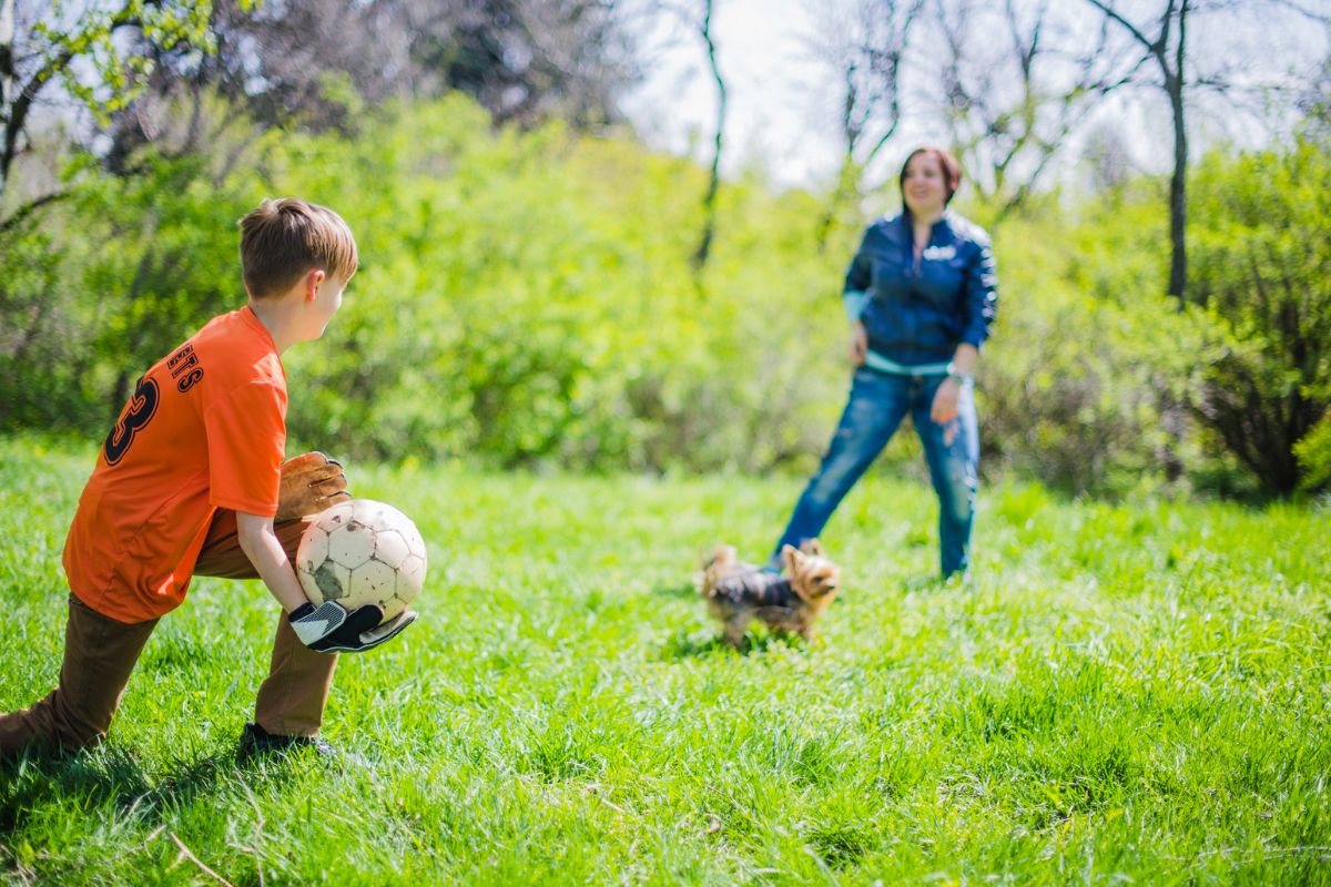 Beyond the Books: Unleashing Creativity in the School Environment| Harshad Valia International School